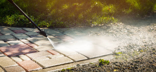 Best Sidewalk and Walkway Cleaning  in Monongah, WV